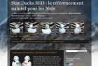 Star Ducks SEO, un blog d’information sur le référencement pour les Nuls